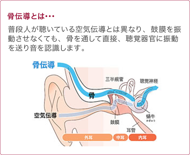 骨伝導とは… 普段人が聴いている空気伝導とは異なり、鼓膜を振動させなくても、骨を通して直接、聴覚器官に振動を送り音を認識します。